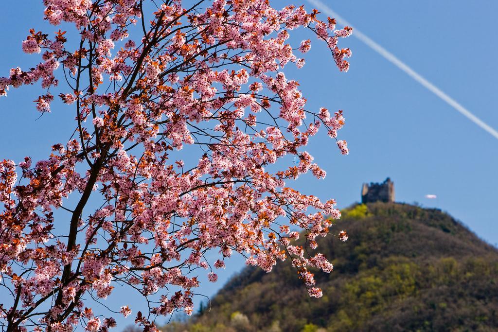 Seegarten Caldaro Zewnętrze zdjęcie